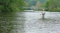 Landing the fish